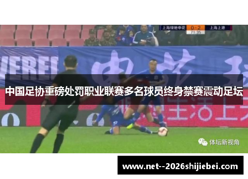 中国足协重磅处罚职业联赛多名球员终身禁赛震动足坛